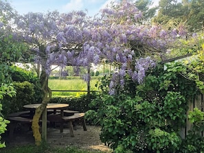 A garden with a pergola covered in purple flowers, a wooden table, and benches. - 4 Star Holiday Home in Sydals (Sydals)