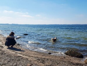 A beach with a rocky shoreline and a person standing by the water. - 4 Star Holiday Home in Sydals (Sydals)