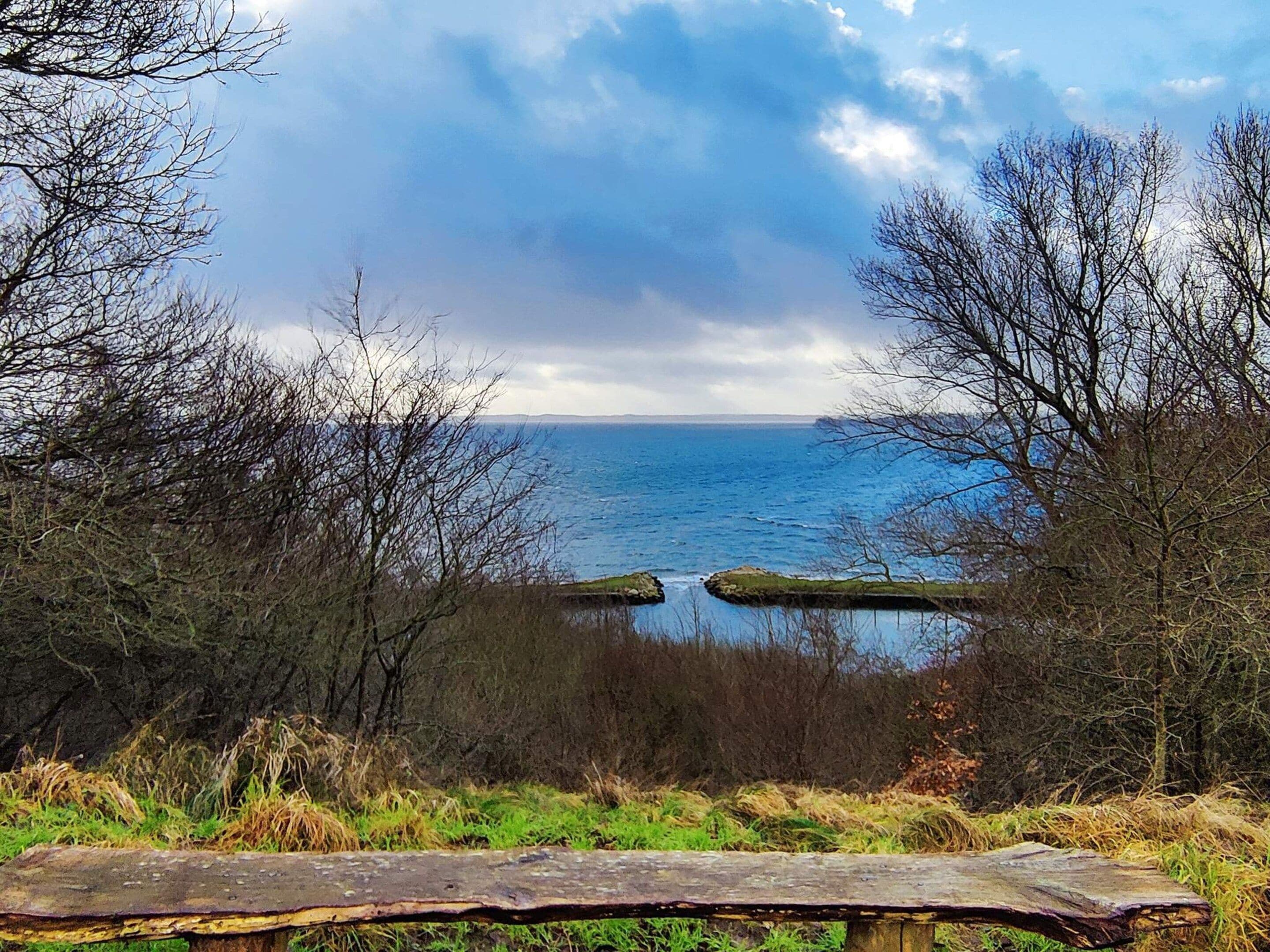 A bench overlooking a body of water with rocky formations and trees in the foreground.