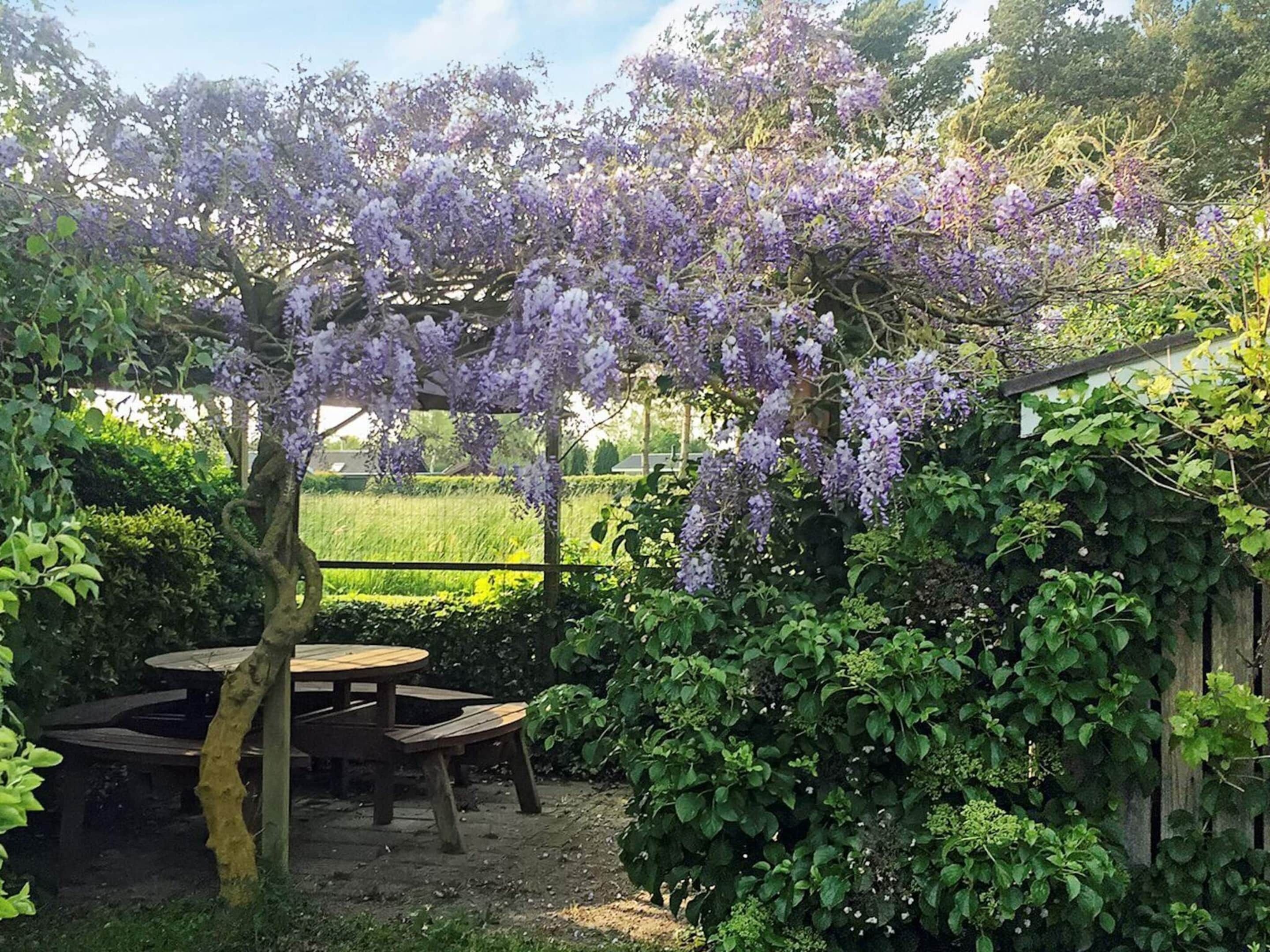 House | View from property