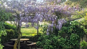 En have med et pergola overdækket af lilla blomster, et træbord og bænke.