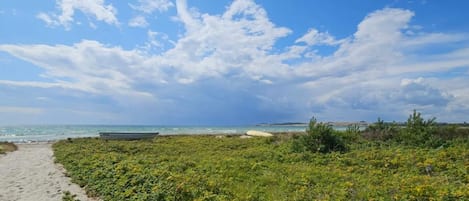 ハウス | ビーチ