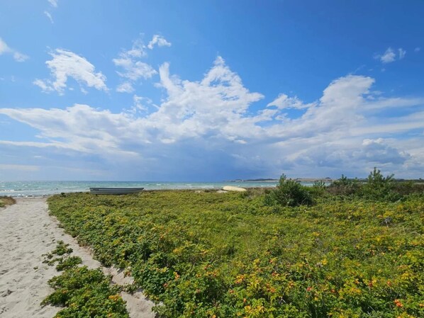 House | Beach - 8 Person Holiday Home in Knebel (Knebel)