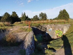 House | Miscellaneous