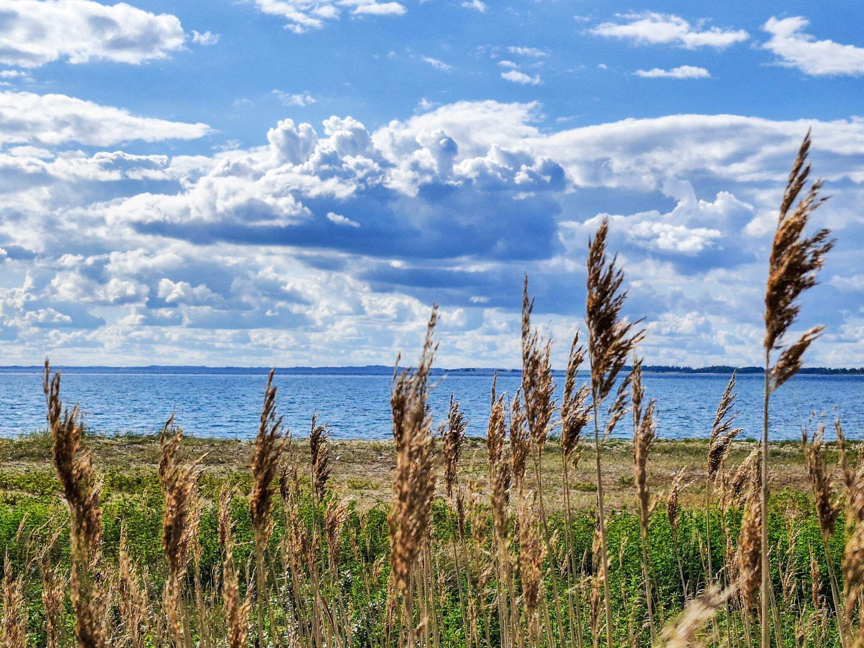 Eine natürliche Landschaft mit einem Gewässer und blauem Himmel.