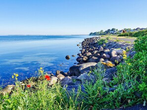 Water view - 4 Person Holiday Home in Assens (Assens)