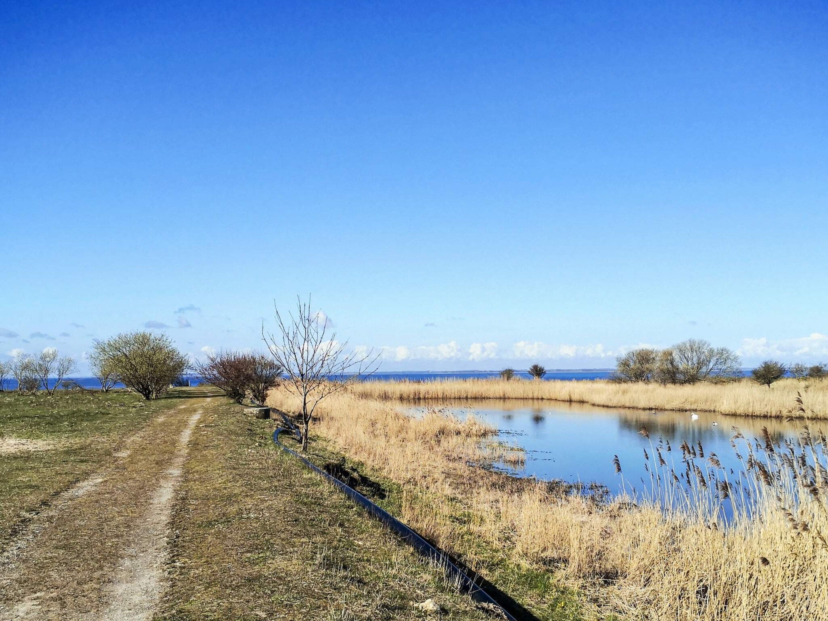 A clear sky, a body of water, and a dirt path.