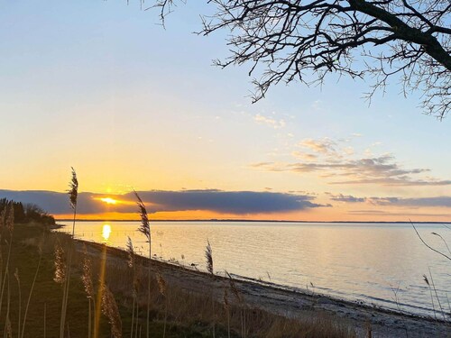 12 Person Holiday Home in Nordborg