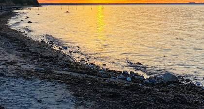 12 Person Holiday Home in Nordborg