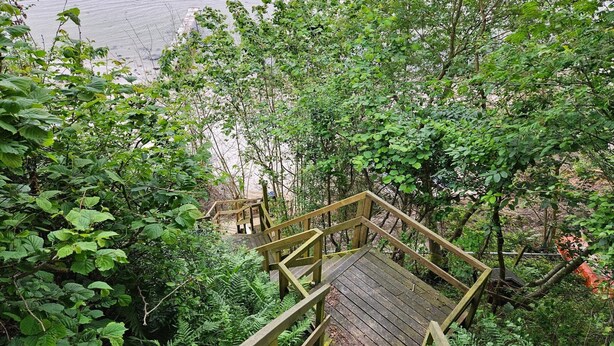 A wooden staircase leading through dense foliage towards a beach. - 5 Person Holiday Home in Hejls (Hejls)