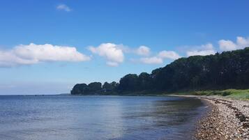 A calm beach with a rocky shoreline, clear sky, and a forested hill in the background.