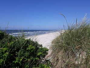 A beach with a clear view of the ocean and a sandy path leading to the water.