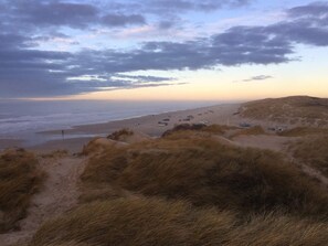 House | Beach - Holiday Home in Blokhus (Blokhus)