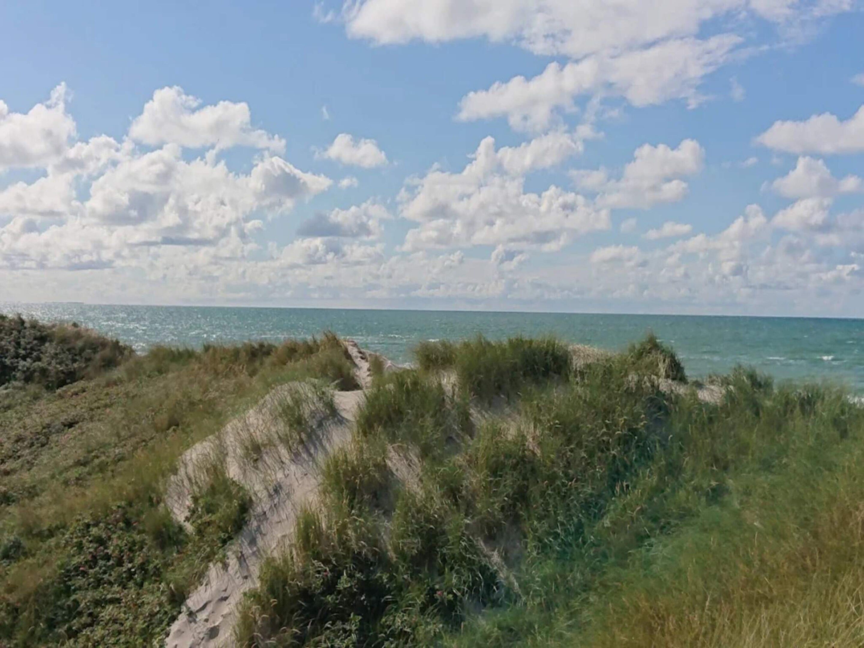 A coastal landscape with dunes and vegetation.
