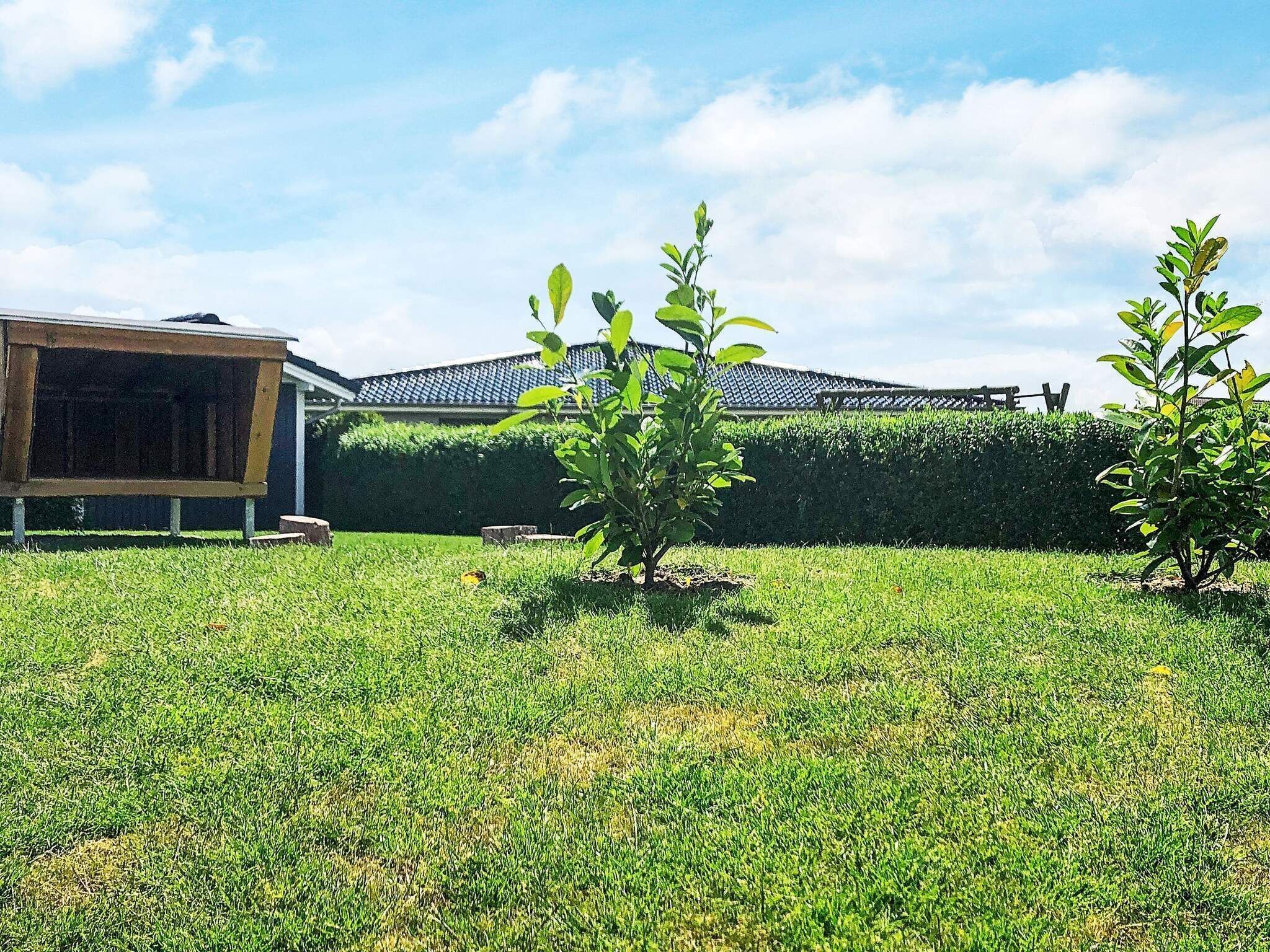 A grassy yard with two small trees and a building with a sloped roof.