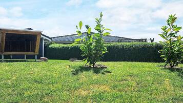 A grassy yard with two small trees and a building with a sloped roof.