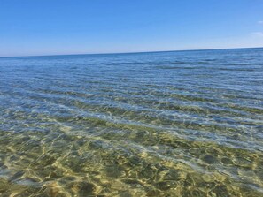 A clear view of a calm sea with visible underwater rocks and clear water. - Holiday Home in Jerup (Jerup)