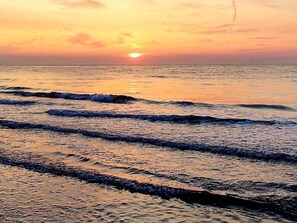 Vista desde la propiedad