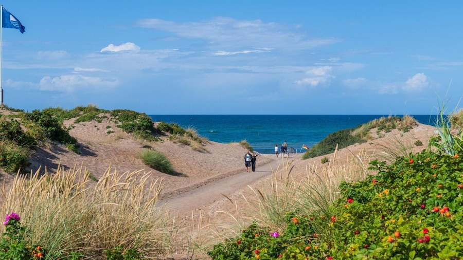 24 Person Holiday Home in Frederiksvaerk
