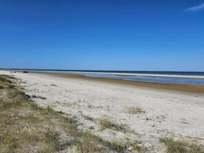 House | Water view - 4 Star Holiday Home in Albaek (Aalbaek)