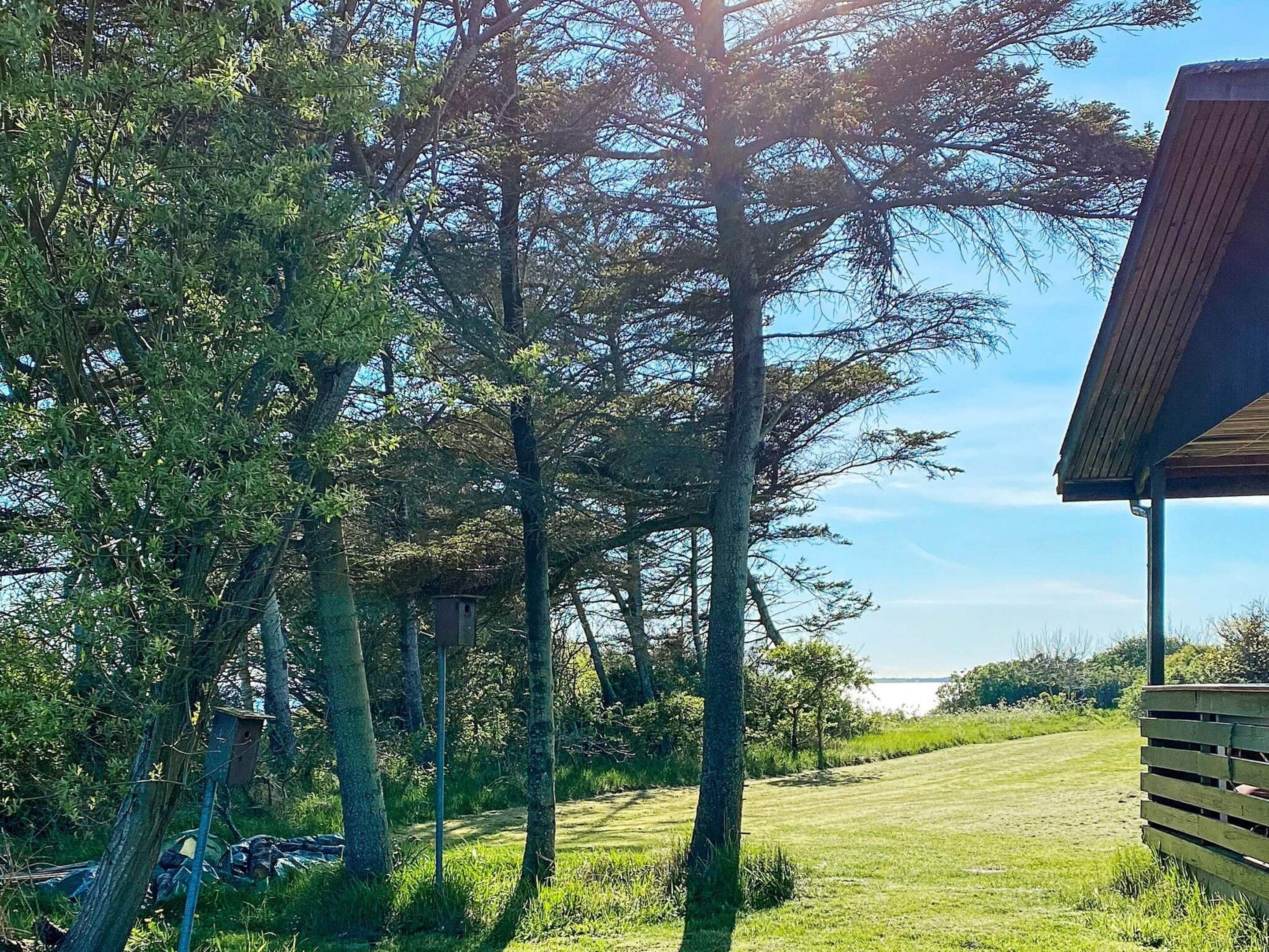 Uma área gramada com árvores e uma construção.