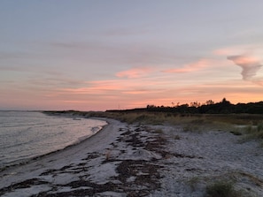 A beach with a curved shoreline, seaweed-covered sand, and a forested background under a sunset sky. - Lovely Holiday Home in Jutland near Sea (Hals)