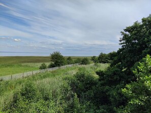 單棟房屋 | 其他設施