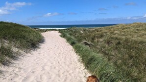 A sandy path leading to the beach, surrounded by grassy dunes. - Holiday Home in Hurup Thy (Hurup Thy)