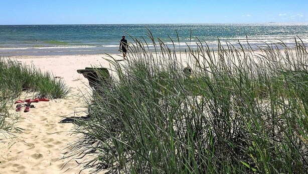 Une plage avec du sable, de l’herbe et une personne qui se promène.