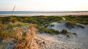 A beach with sand dunes and sparse vegetation. - 6 Person Holiday Home in Fano (Fano)