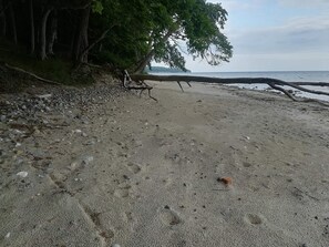 A beach with a tree overhanging the sand, a fallen tree trunk, and the ocean in the background.