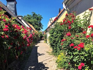 House | Property grounds - 6 Person Holiday Home in Visby (Visby)