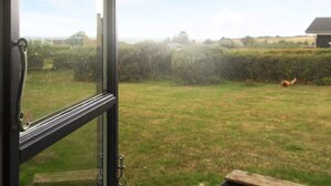 Blick durch ein Fenster auf einen grasbewachsenen Garten mit einer Holzterrasse, einem Hecken und einem Gebäude in der Ferne.
