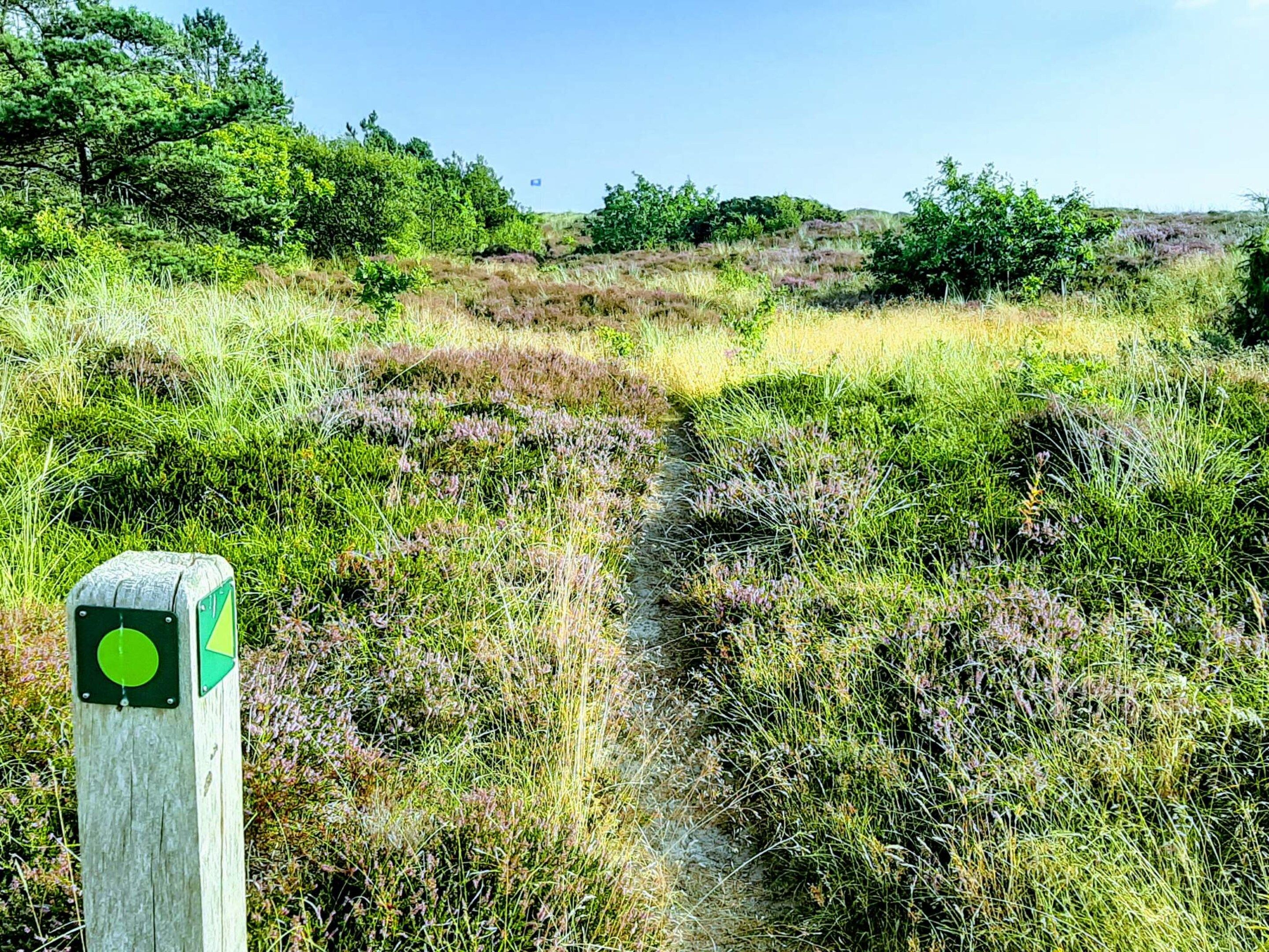 A natural landscape with a wooden post featuring a green circular sign.