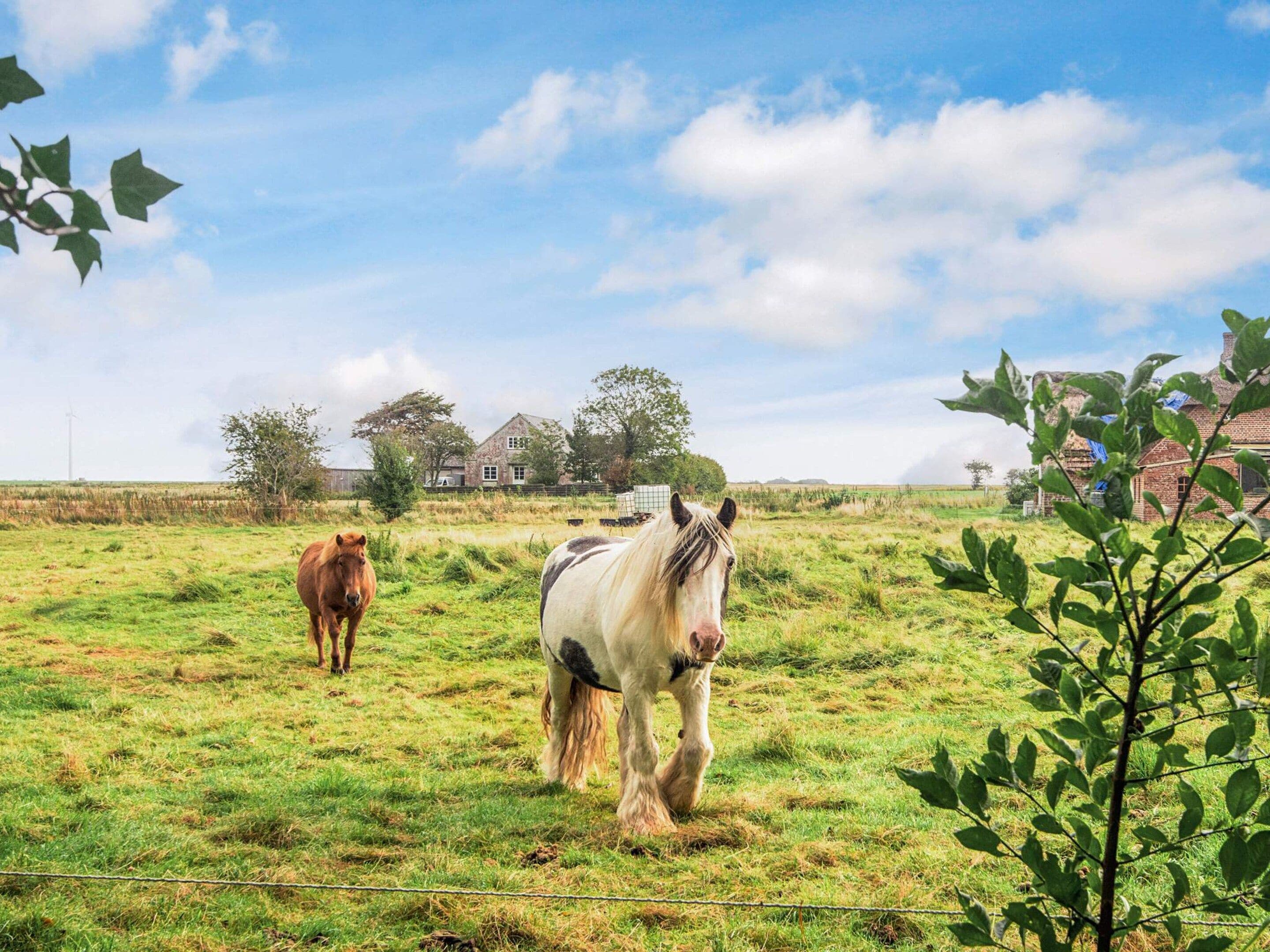 A rural landscape with two horses in a field, a house, and a wind turbine in the distance.