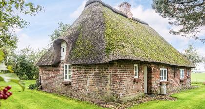 4 Person Holiday Home in Tonder