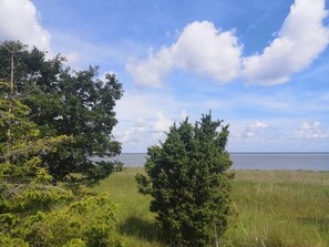 House | Miscellaneous