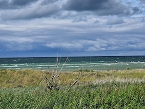 A coastal landscape with a grassy foreground and a view of the ocean under a cloudy sky.