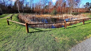 Hus | Utsikt fra overnattingsstedet