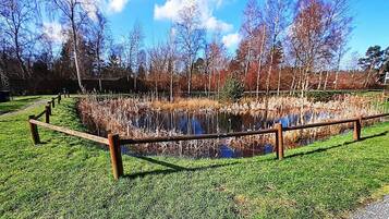 House | View from property