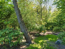 独立别墅 | 外观