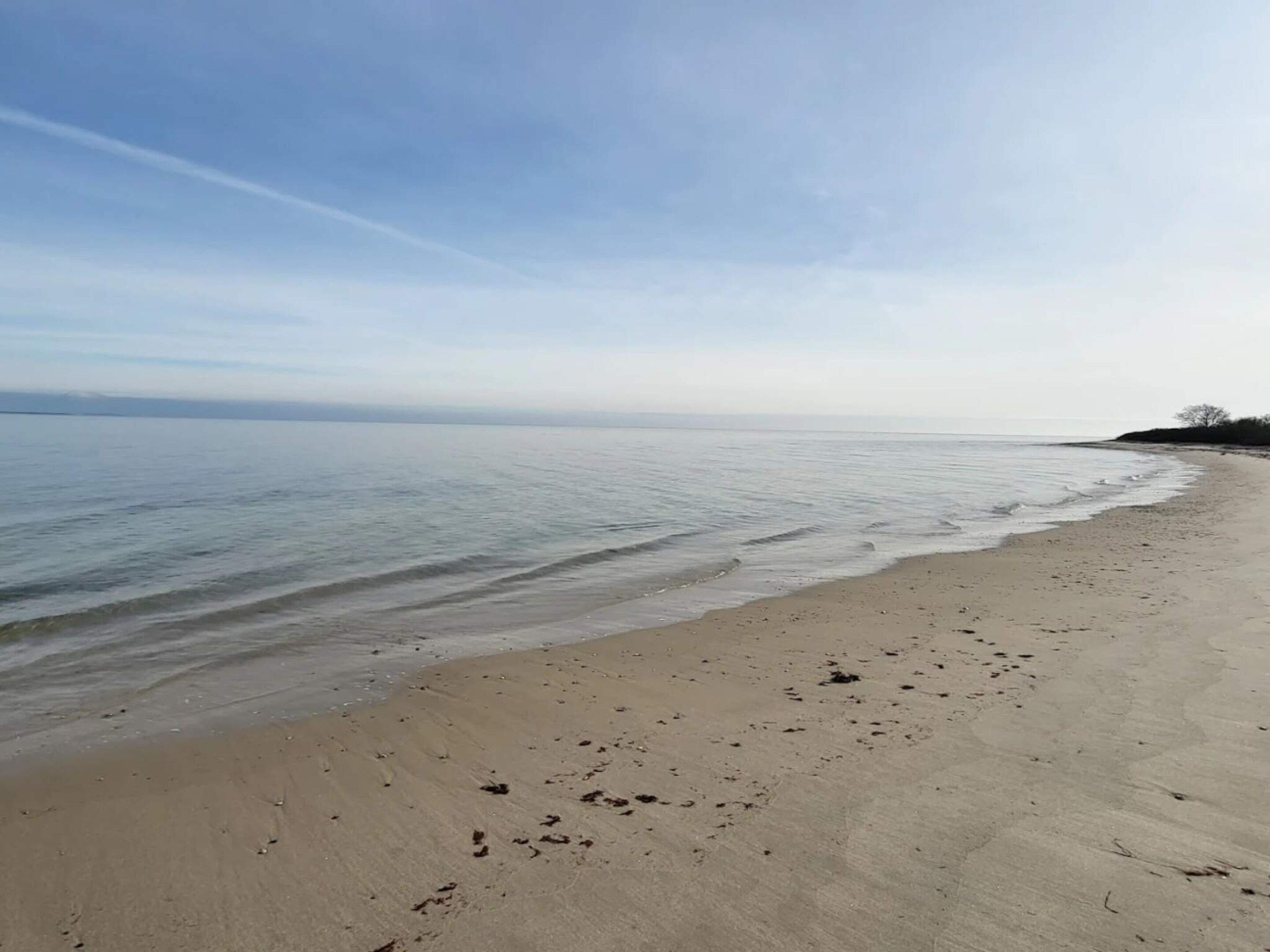 A beach with a sandy shore and calm water.