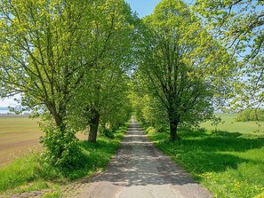 Hus | Udendørsområde