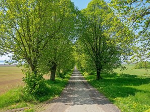 Eksteriør