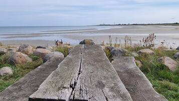 A wooden bench overlooking a beach with rocks and sparse vegetation.