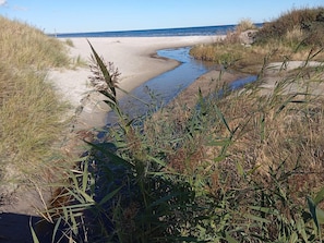 A beach with a narrow water channel, sandy dunes, and dense vegetation. - 8 Person Holiday Home in Albaek (Aalbaek)