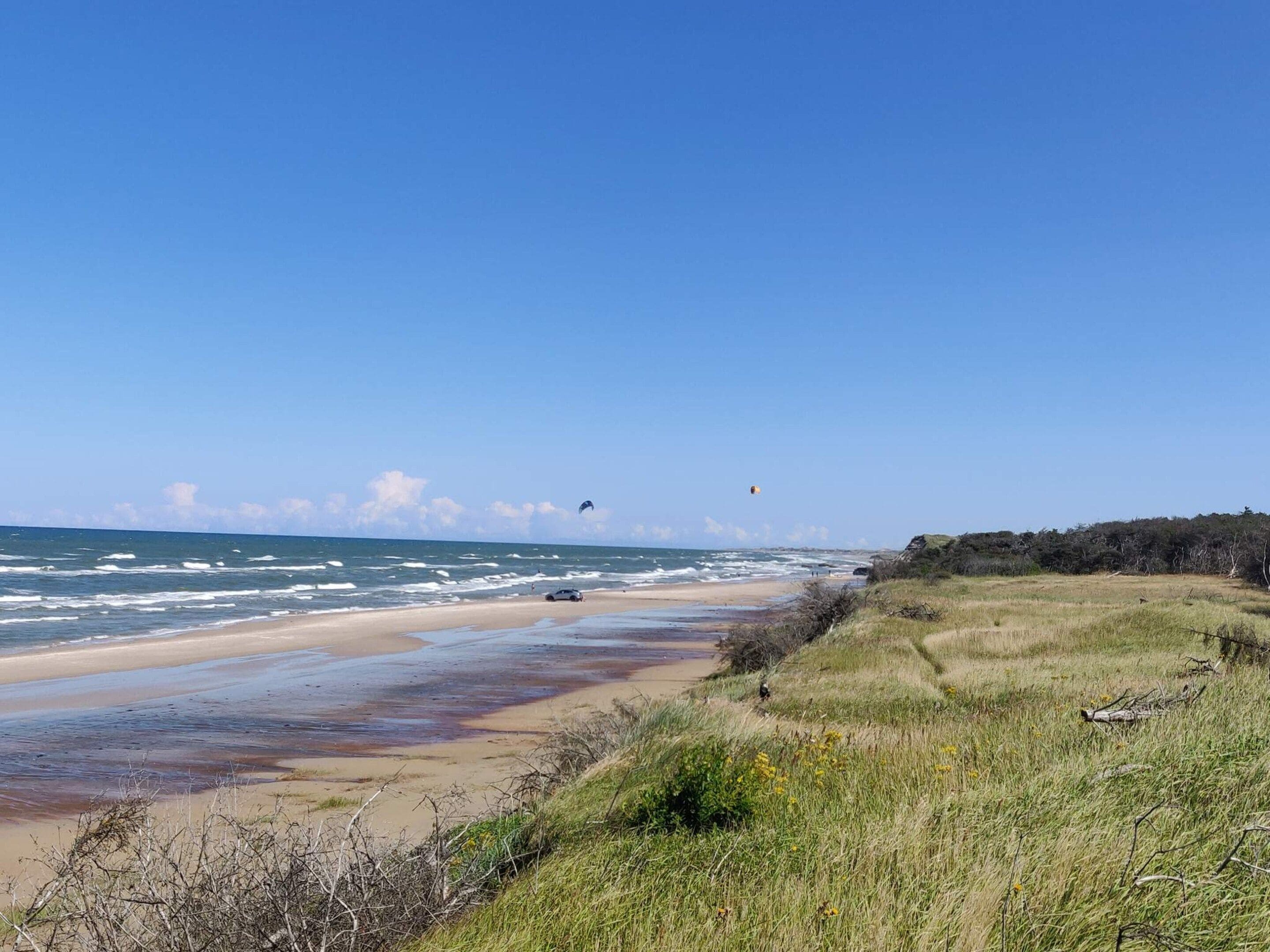Une plage avec un rivage sablonneux, des vagues et un ciel dégagé.