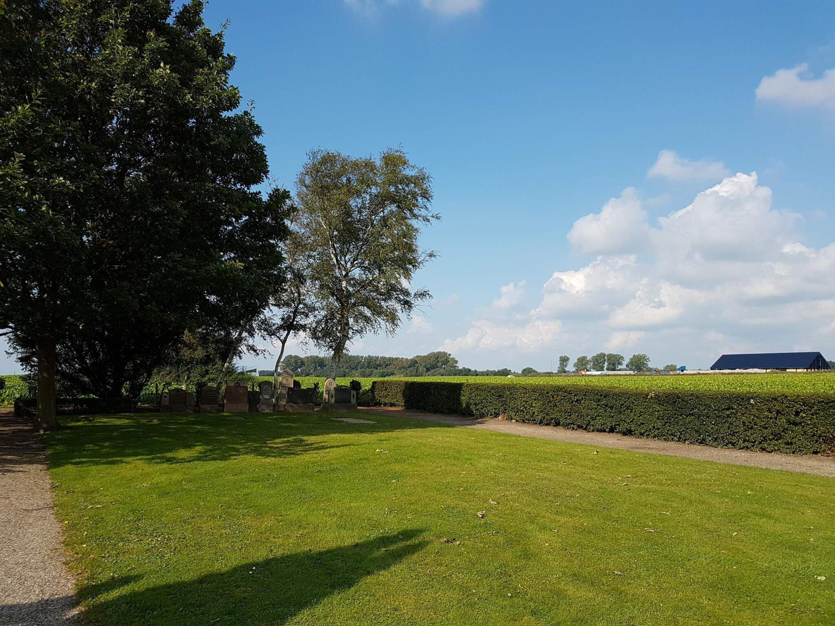 Ein grasbewachsenes Feld mit einem großen Baum, einer Hecke und einem Gebäude in der Ferne.