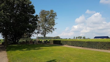 Ein grasbewachsenes Feld mit einem großen Baum, einer Hecke und einem Gebäude in der Ferne.