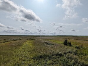 House | Miscellaneous